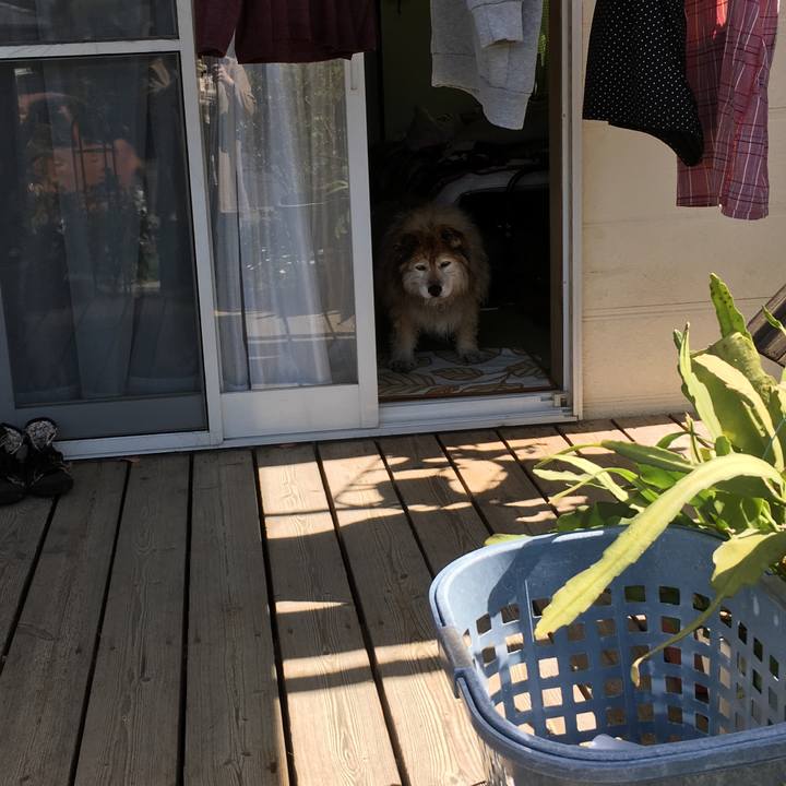 4b15a139 f655 425a a504 8d50671ed991 1558921766783