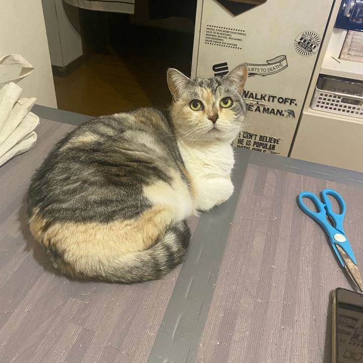 4b15aac4 8031 43c9 b8bd e2a599f2b023 1647265707491