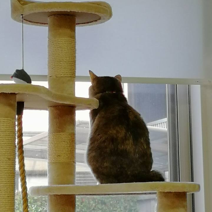 4b162648 0a4c 4d30 a63b d30b1a3a9524 1551407972159