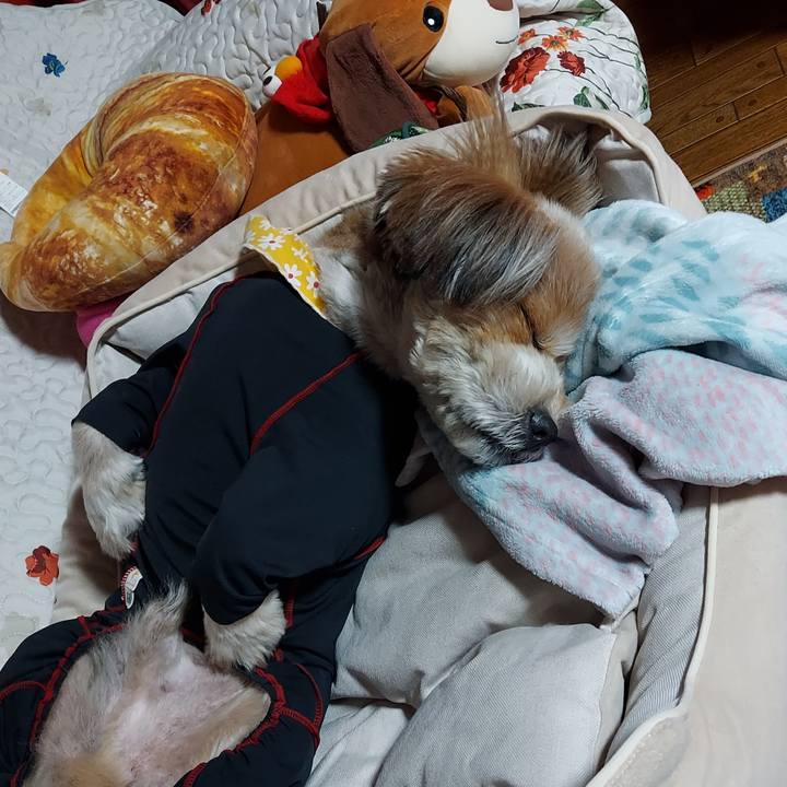 4b168985 6de2 45a5 86ba 1635e38dae4f 1651676417325