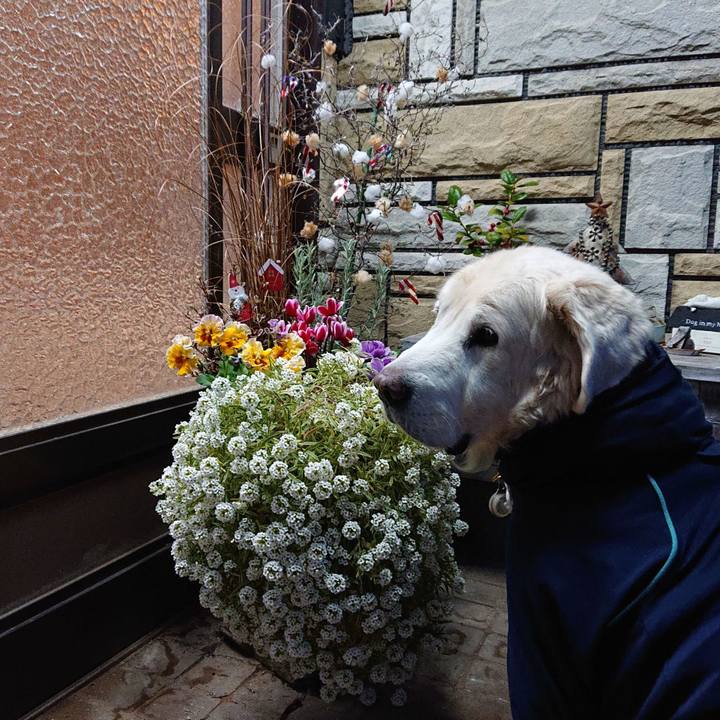 4b16e55d ff98 45e3 b2e0 4d4d034c32fb 1577100383033