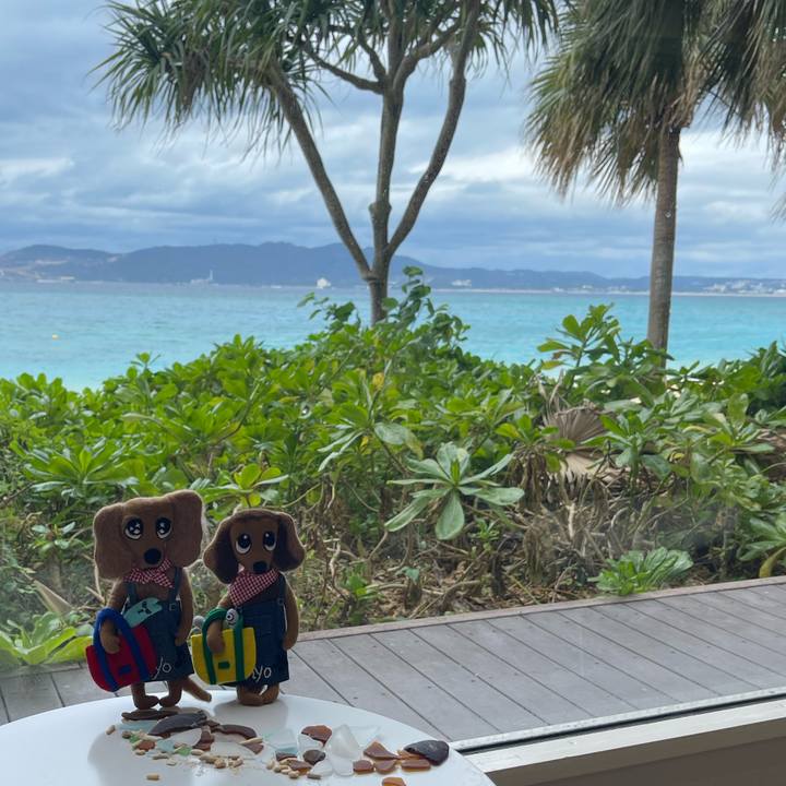 4b16f148 885b 4990 ace0 5b468da60f0a 1701578580392