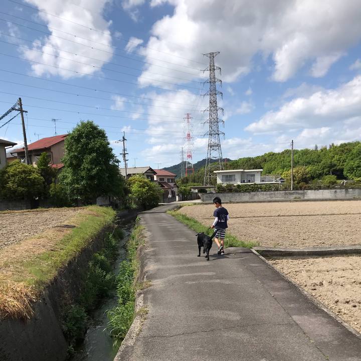 4b172018 d853 41ab a095 be0b258218ef 1556593059869