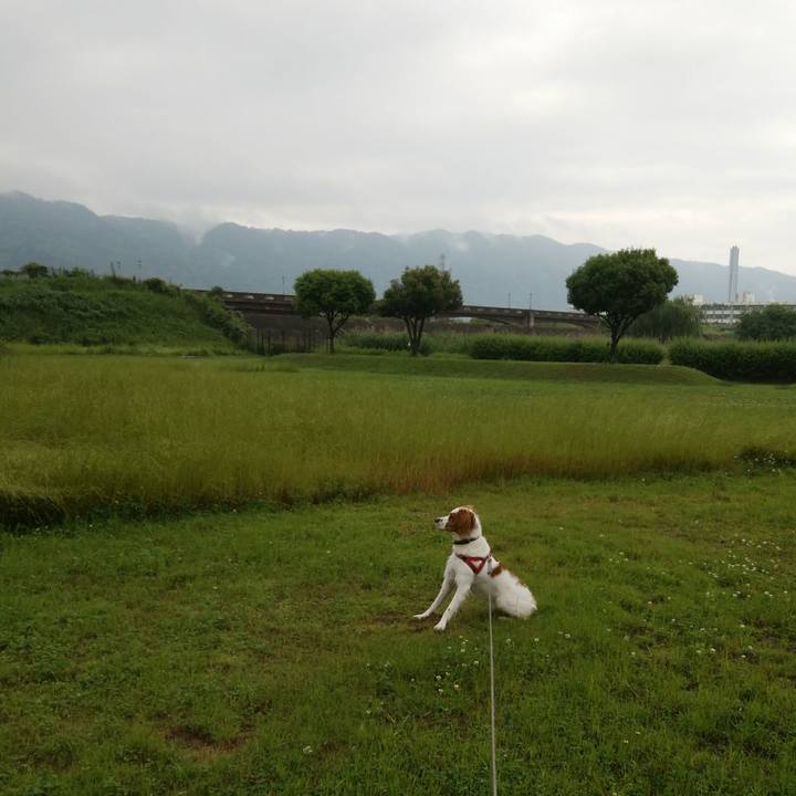 4b1769cf 123f 4445 aed9 cec34f59babf 1527756853699