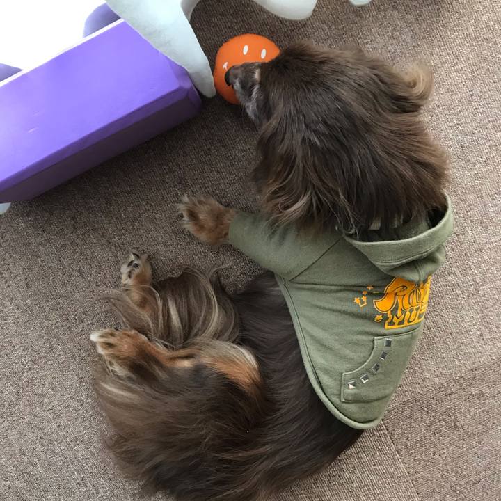 4b177bd6 88b2 4526 a0b9 372c847301e6 1601189649766