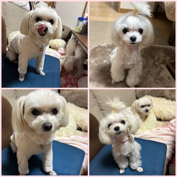 4b1793a6 206b 4f6a b1ae aa0edfcfd809 1733999901758