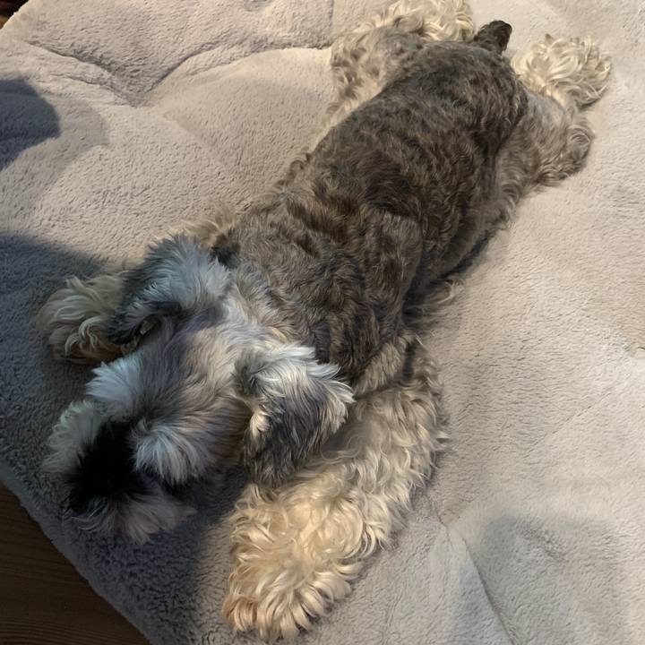 4b17b1dc 7f89 4fb6 ac23 9cd2329ac15d 1663889963846