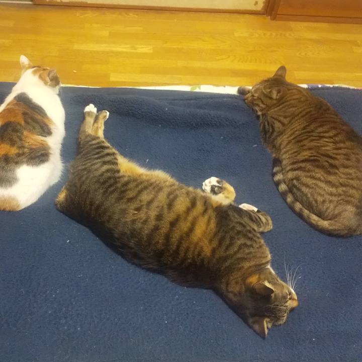 4b1808a0 7e61 4387 824d 7680b5b0f866 1709217408115