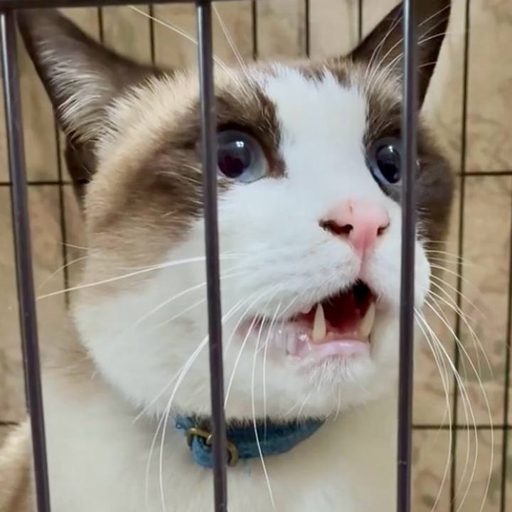 4b183e40 b75a 4a66 b5db 351fb261ac20 1764816986177