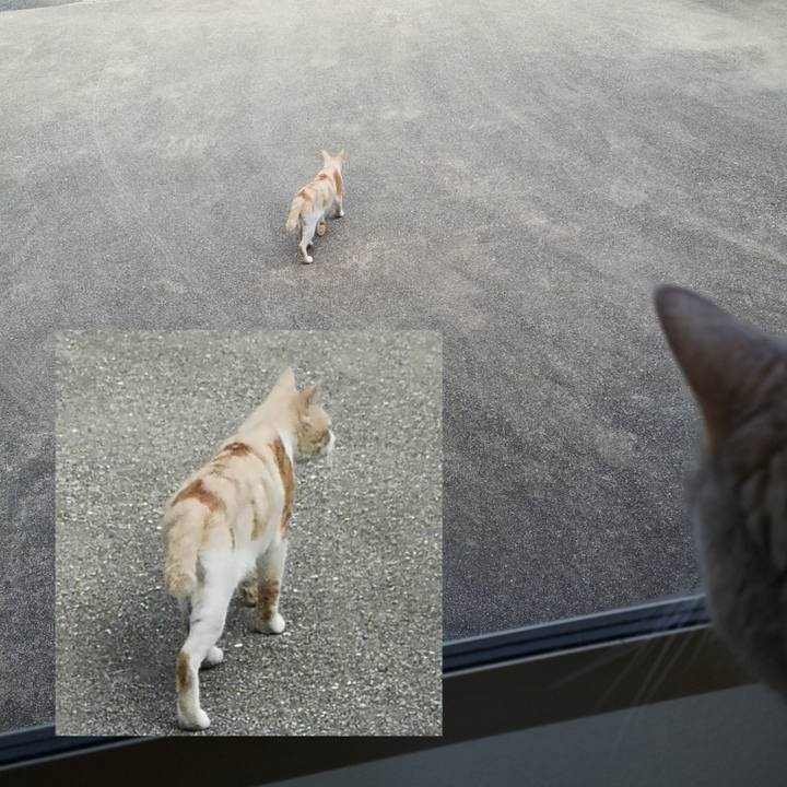 4b18486d 9d7b 415c 8107 3d38811090a7 1568079403038