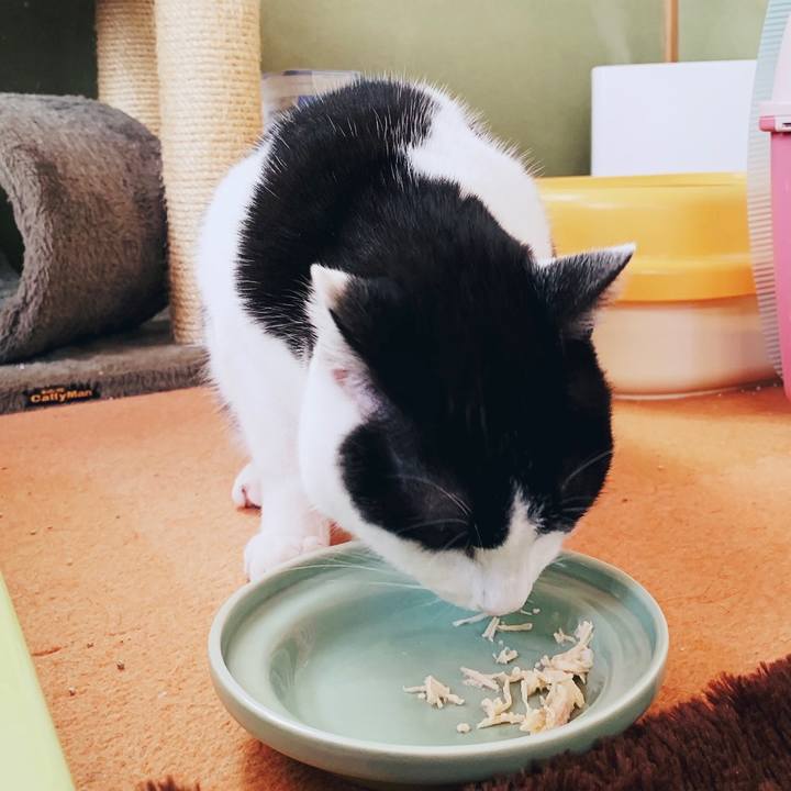 4b18586c ecad 4979 8d09 cbdbf8c60def 1554434870858