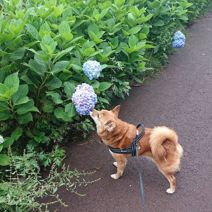 4b186e0e bf2f 4788 881a 3a2842aeddf3 1622843271974