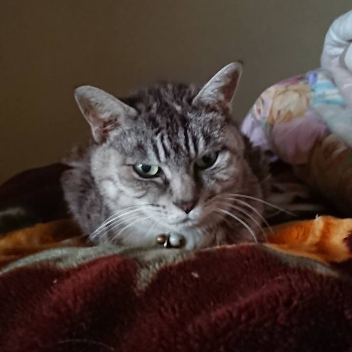 4b1886ef 08e7 4302 b745 c051ce4c66a0 1570861331207