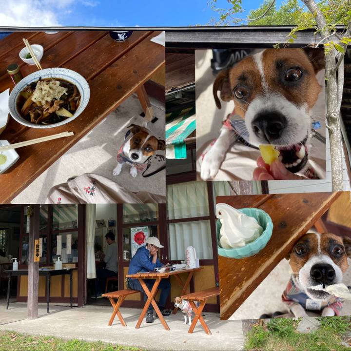 4b18950e 19b7 4a25 b828 907ac04e9700 1633671092173