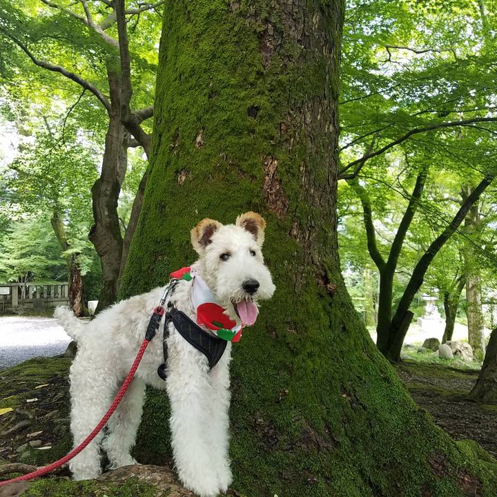 4b18953c e02e 4692 a851 cf72b4de6b7b 1594557067855