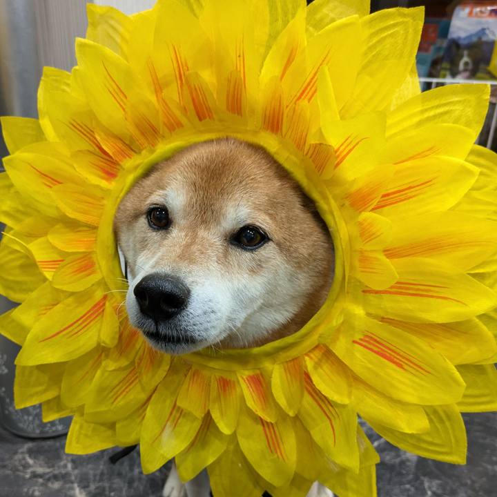 4b189db0 e365 4a44 9d07 3b31a6131593 1724561199164