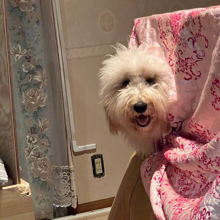 4b18bc57 b7a2 4c78 a53d 9e20e85e4b1a 1736845688178