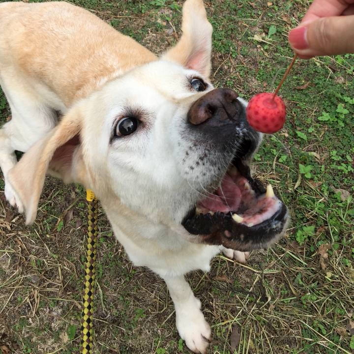 4b18d3ff 658f 442e b0e4 7635ae84fab0 1559819644510