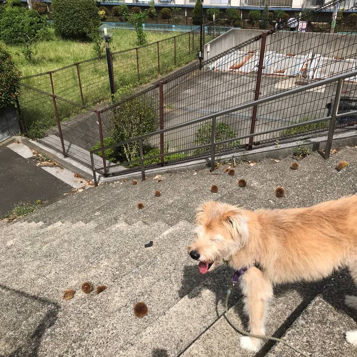 4b191adf 56e3 4d51 800b 2513944bcd51 1569300040783