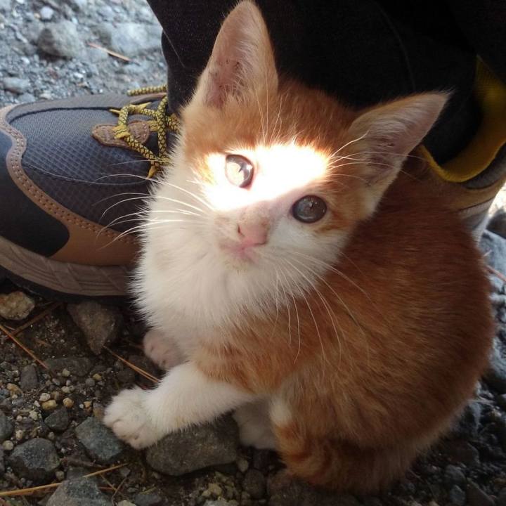 4b192fea 01f3 49e7 9ab1 176450838576 1590209208548