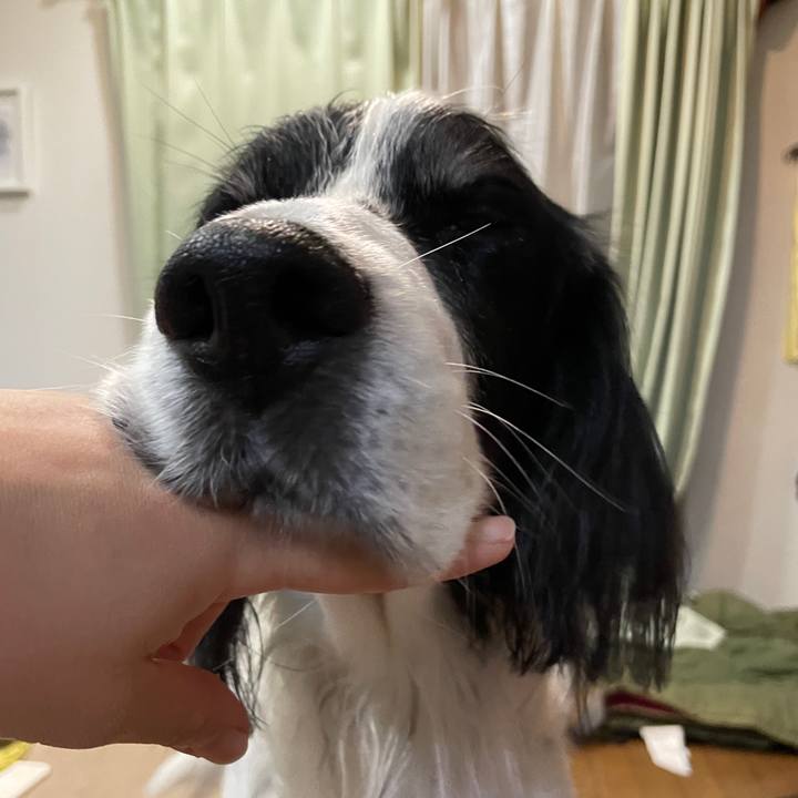 4b193231 3130 4fad 8c27 d71245a6fdd8 1766552064000