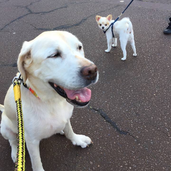 4b193c5e b658 47bf 8572 e4a1cda6ee0d 1557551064247