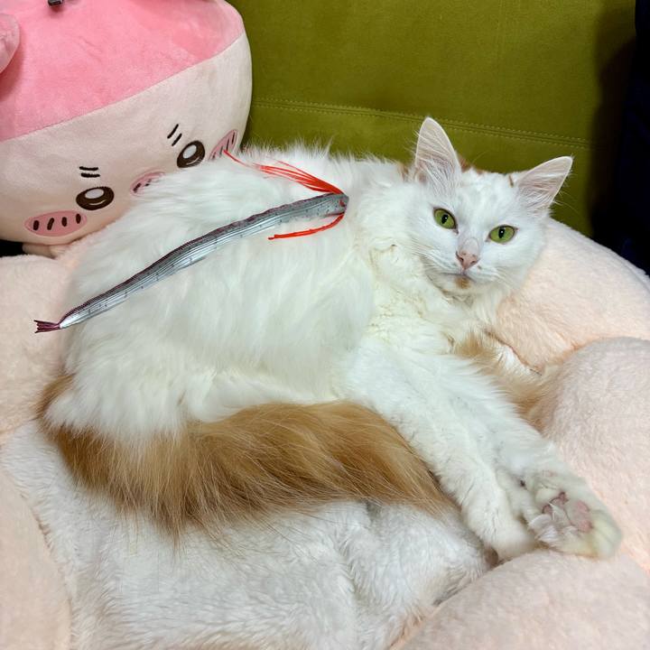 4b198320 20c3 4b5c a6c3 cb695b53e090 1766289992285