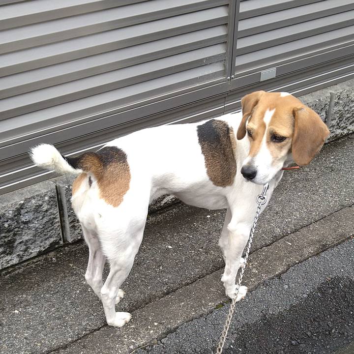 4b199634 5961 41e3 92cc 45b8d9960397 1635612985122