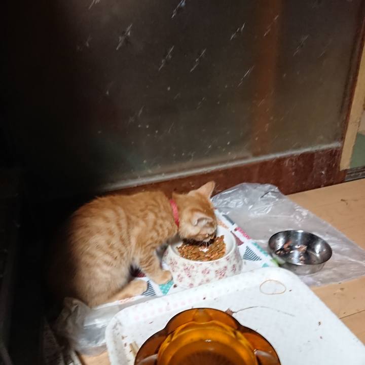 4b19b1cb 6708 4b72 afee c453a456e24d 1632257482123