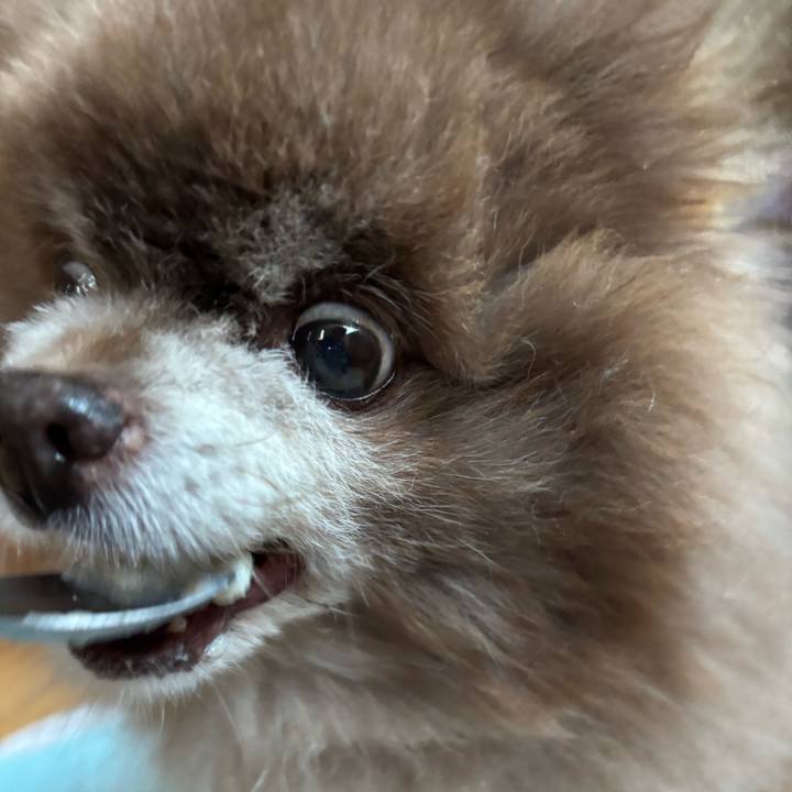 4b19f013 de63 43ef a39c 1fc6e5980b67 1774127444996