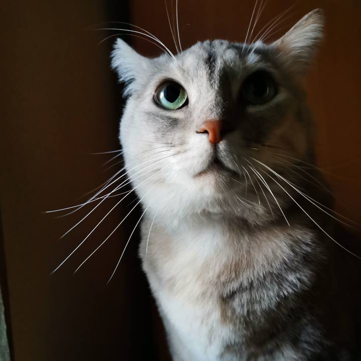 4b19fb4b bb87 4808 a102 5d60ca717b42 1640229169810