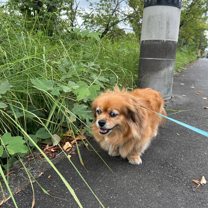 4b1a165a 30ea 41bd aed8 829a302bfad6 1755905184270