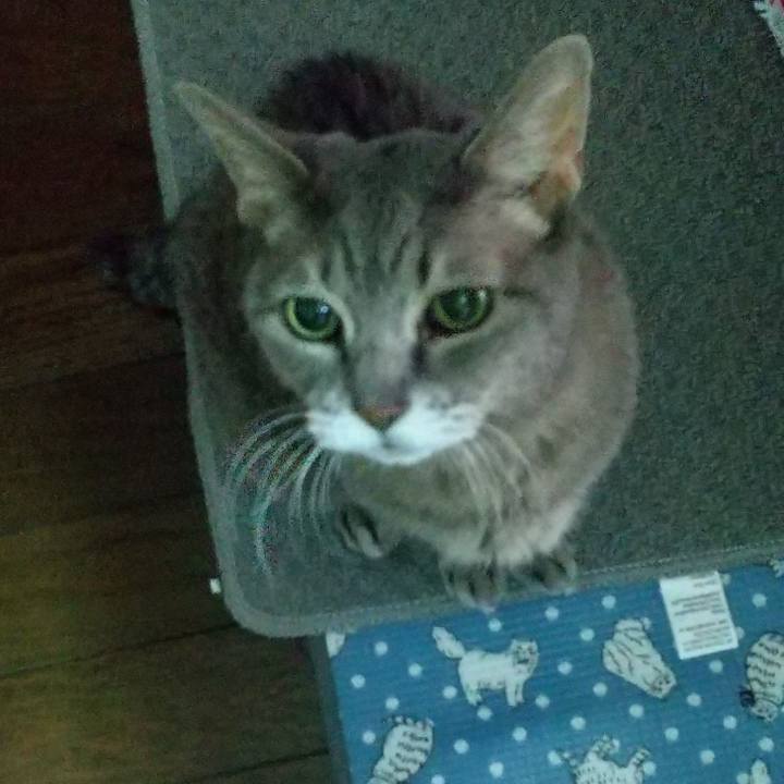 4b1a28ae 17ed 4a4b 897a c572693c5690 1697751249439