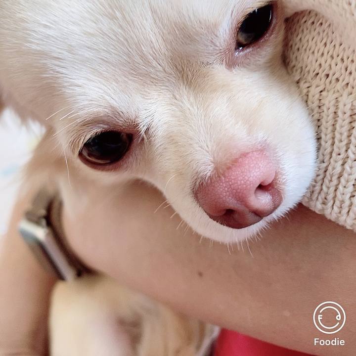 4b1a3e0a 8134 42bb b624 c6fffed403e0 1617345798214