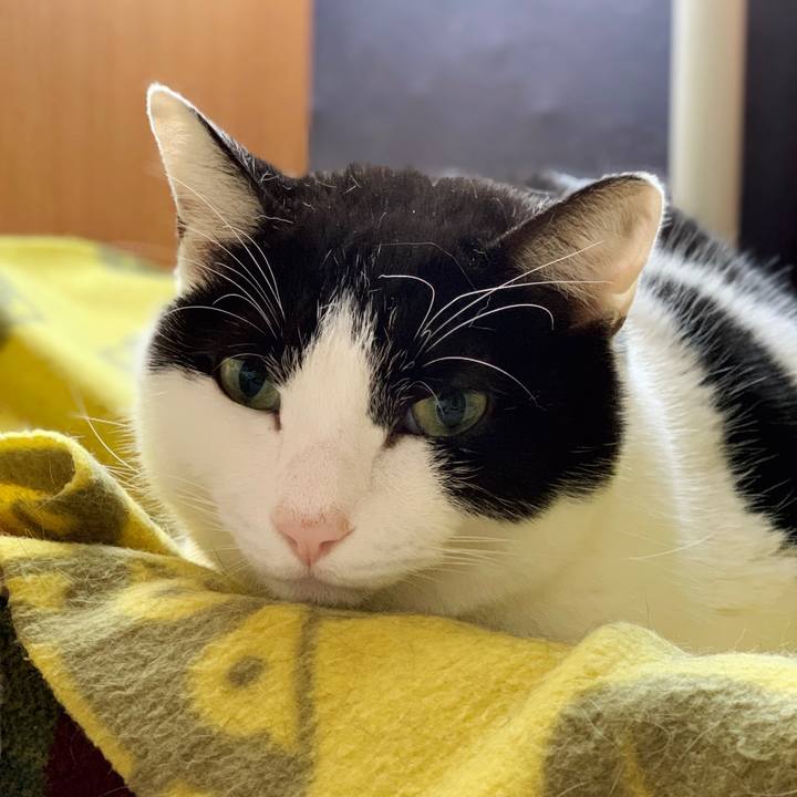 4b1a4487 d163 4c3c b8bd 6d069d314b07 1549767453517