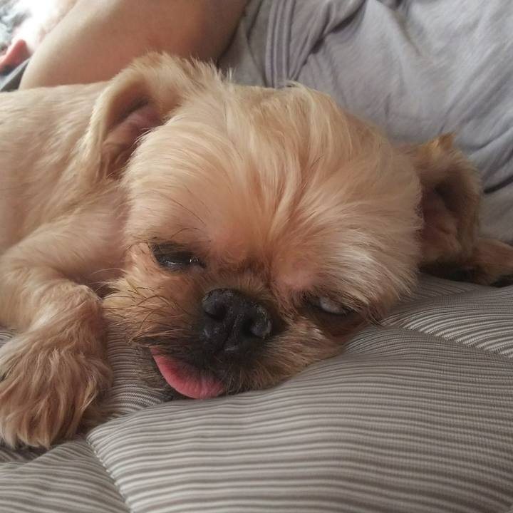 4b1a84bf 6c8e 41d1 af89 70beb4e604e7 1532956073550