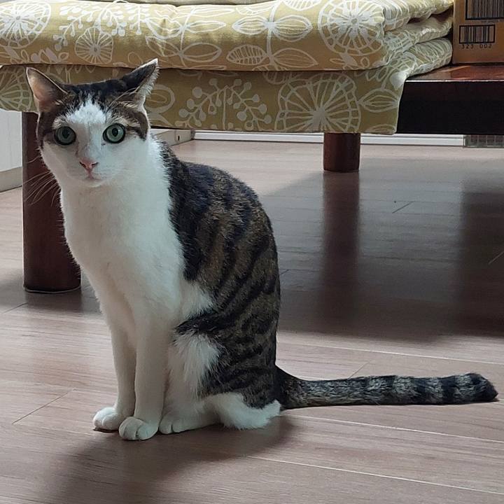 4b1a8bd7 4d71 4a50 bb16 7740d41533dc 1745272155053