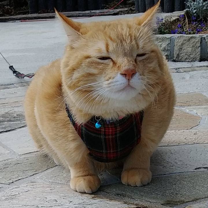 4b1a8c29 a950 4693 8996 6bf18979fa11 1583552785177