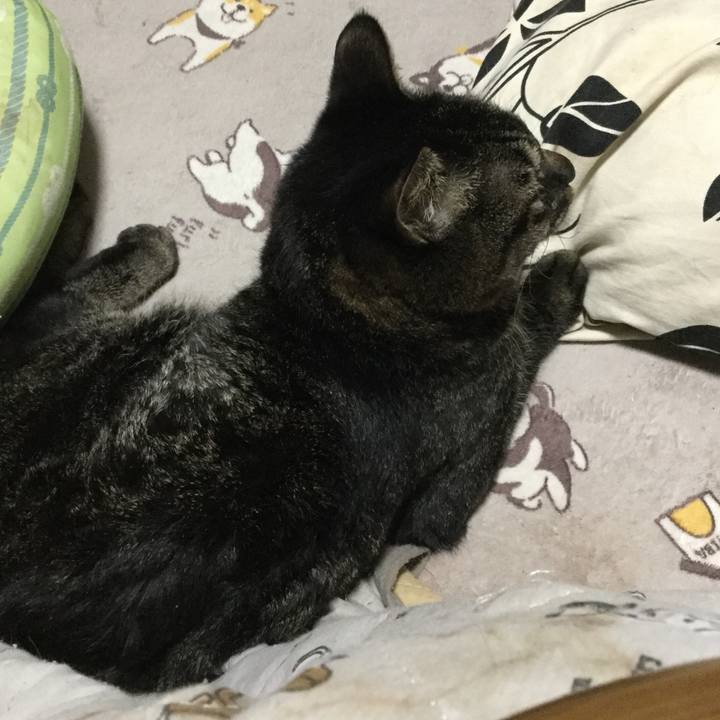 4b1aa139 3309 4168 a890 2f11666fd8bc 1614159062624