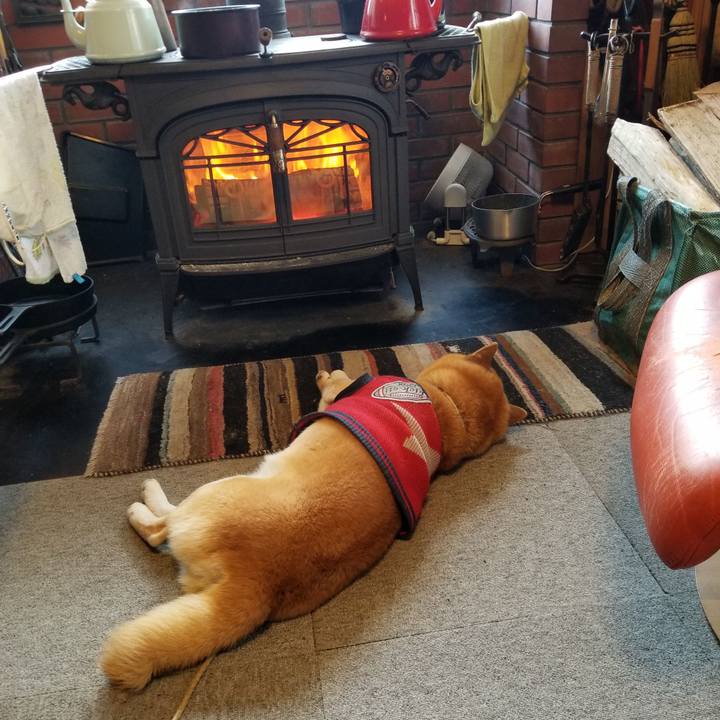 4b1af42e 5c13 4fb5 a3e4 8f9daa923a62 1608593982027