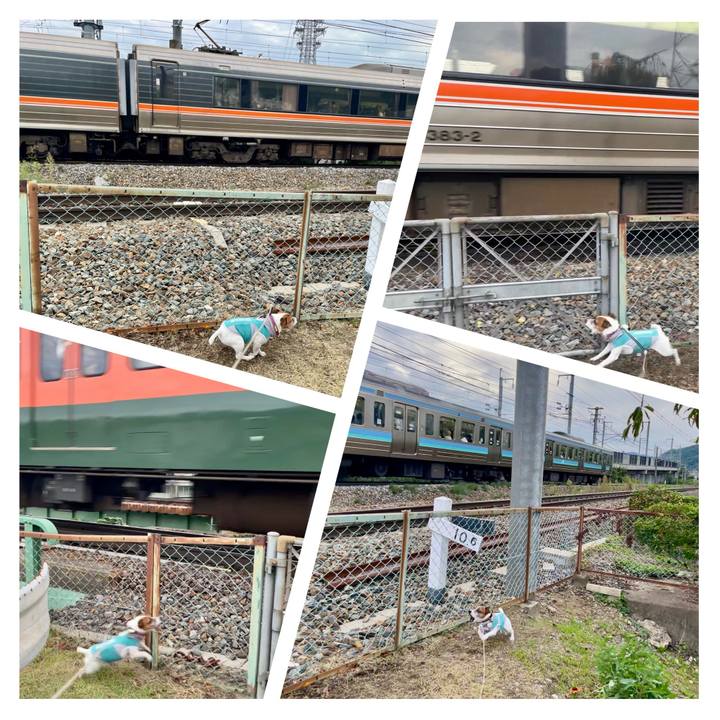 4b1b42aa 6b00 4cfa bbd1 287c5b5617b7 1759479414150