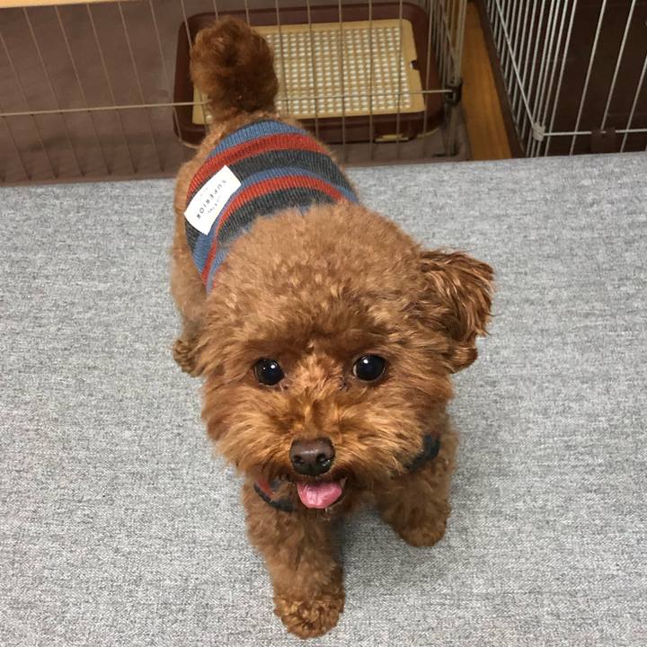 4b1b4606 a137 4ef8 9799 a12d4396d625 1573293121022