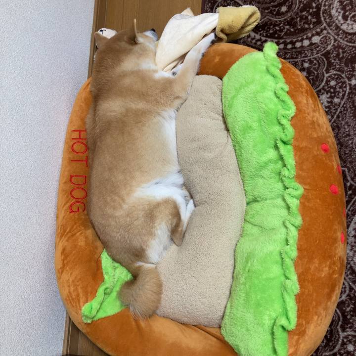 4b1b5ff1 677d 4197 bf82 4f55c5ba0ec4 1617973239172