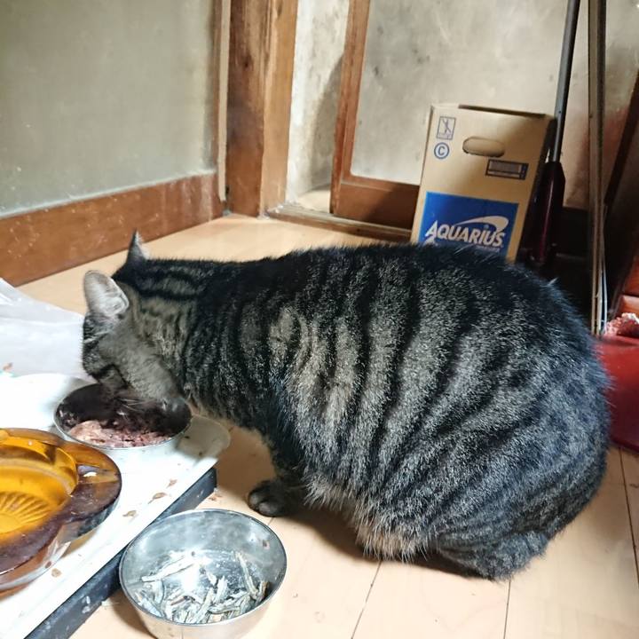 4b1b8566 9cda 4abd 9cc5 ea561bd324f9 1634907990191