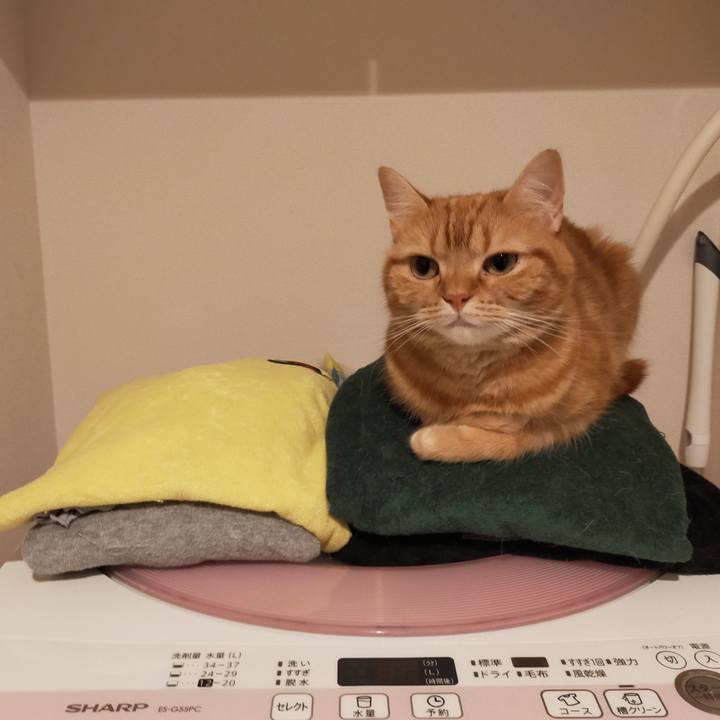 4b1b914d 08d6 42d2 83cb 9de4bd0d0b2e 1595150437779