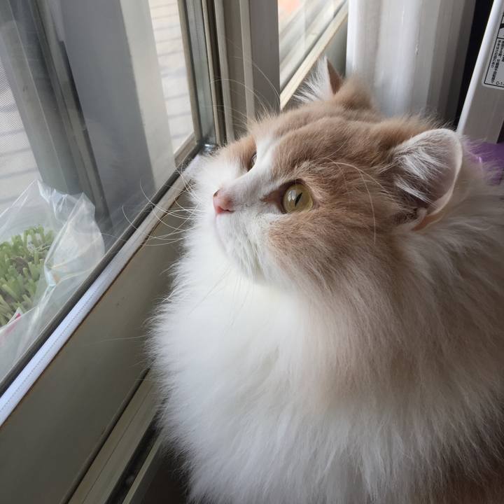 4b1be561 7023 40fa 8009 74d1470a56d5 1516072729589