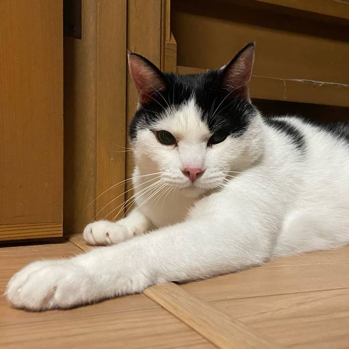 4b1c00b0 d933 4dd4 8945 574f273894f4 1587388825416