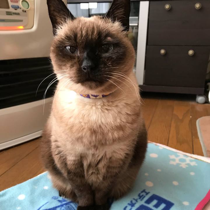 4b1c1091 d481 415b b1ab de155a1b3f48 1517359530131