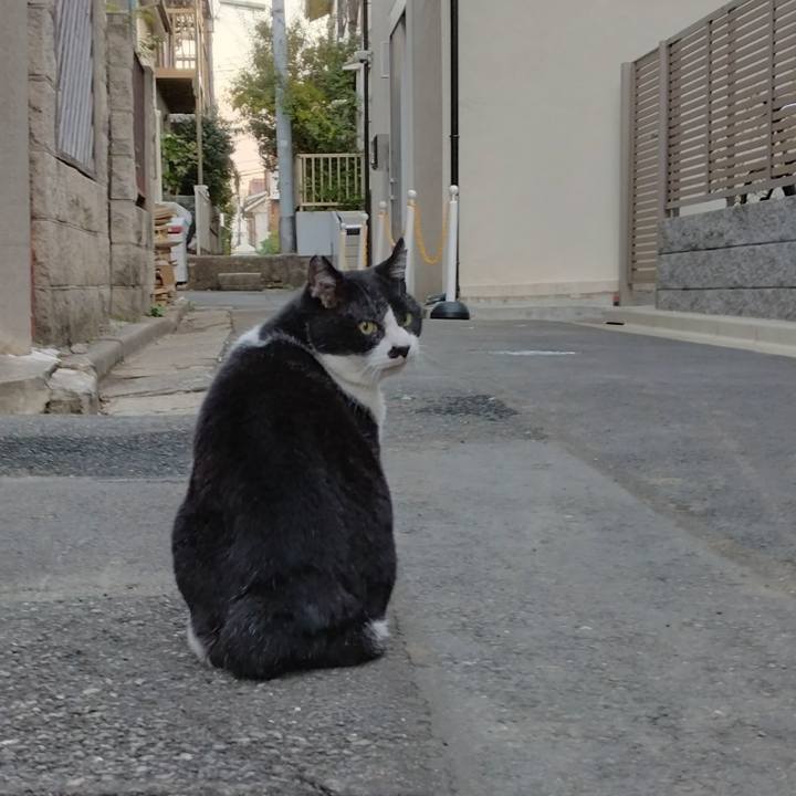 4b1c18bf 2e04 4c33 8e1b f232af778941 1700724596511