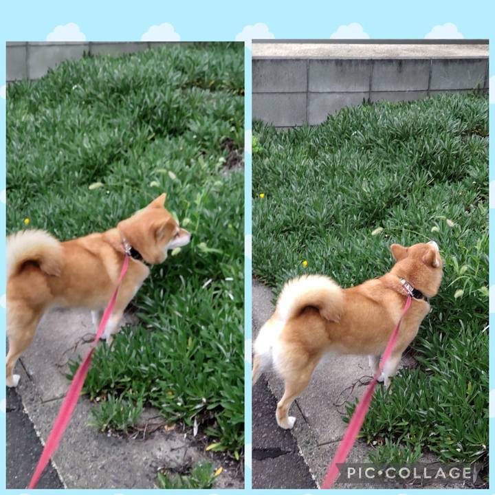 4b1c27f1 958b 4e14 a447 558e6b442e7d 1758579547095